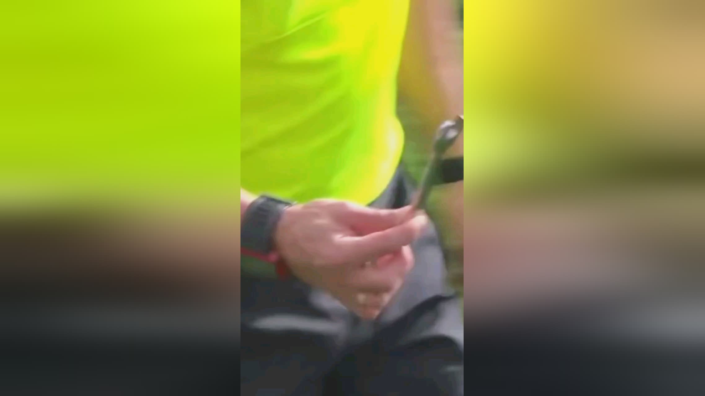 成功案例这